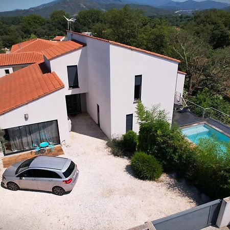 Villa Contemporaine, Jardin Mediterraneen Et Piscine Privee Saint-Jean-Pla-de-Corts Eksteriør billede